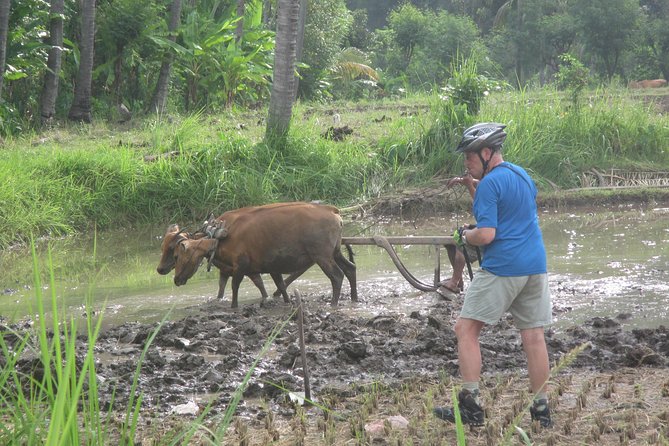 Snorkeling & Trekking at West Bali National Park - Reef-ready guidance: what “helpful and patient” looks like