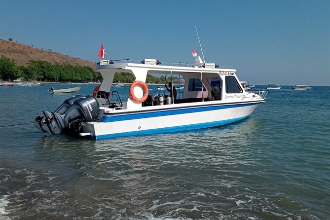Snorkeling Trip to Menjangan Island - Who should book this Menjangan Island snorkeling trip