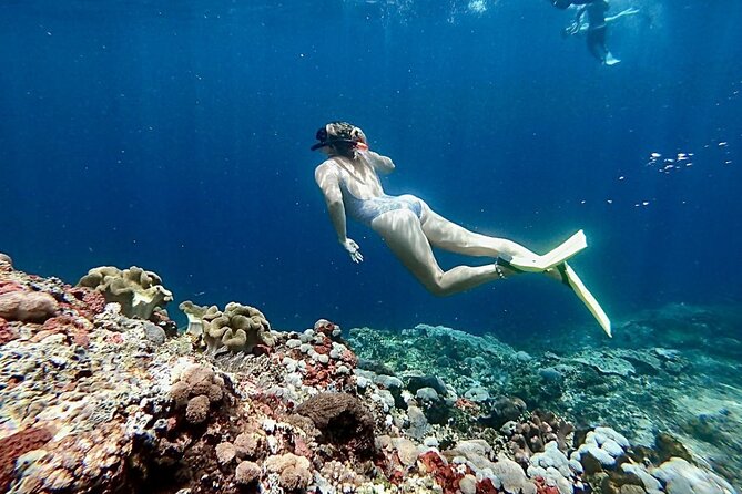 Snorkeling Trips with Manta Ray from Nusa Lembongan - Stop 3 at Mangrove Point Lembongan: calmer snorkeling, different species