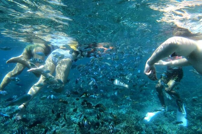 Snorkeling Trips with Manta Ray from Nusa Lembongan - Underwater photos and videos: why this is more than a nice add-on