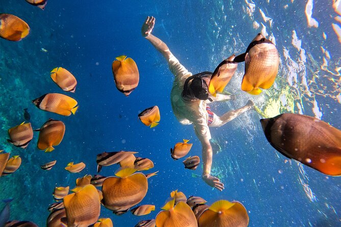 Snorkeling with Manta Rays in Their Habitat with Manta Point - Gear, guide support, and the included GoPro (plus an honest photo reality check)