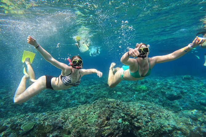 Snorkeling with Manta Rays in Their Habitat with Manta Point - How the 3-hour format works for your day (and why it matters)