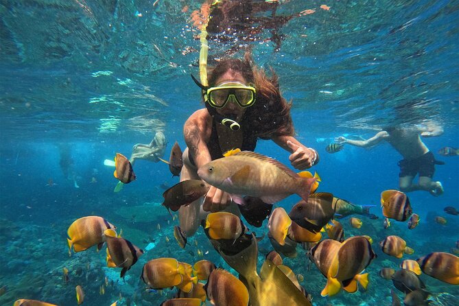 Snorkeling with Manta Rays in Their Habitat with Manta Point - Price and value: why $7.71 can be tempting (and what you should confirm)