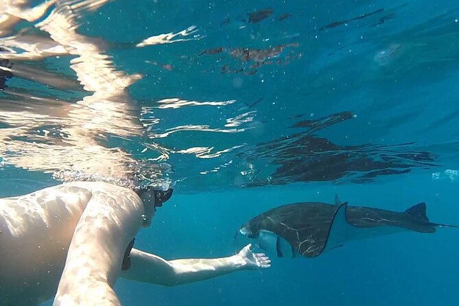 Snorkeling with Manta Rays in Their Habitat with Manta Point - Weather, waves, and the reality of manta snorkeling