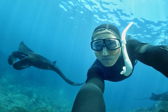 Snorkelling in Nusa Penida - Manta Point - Manta Point and Crystal Bay: What Makes This Reef Route Worth It