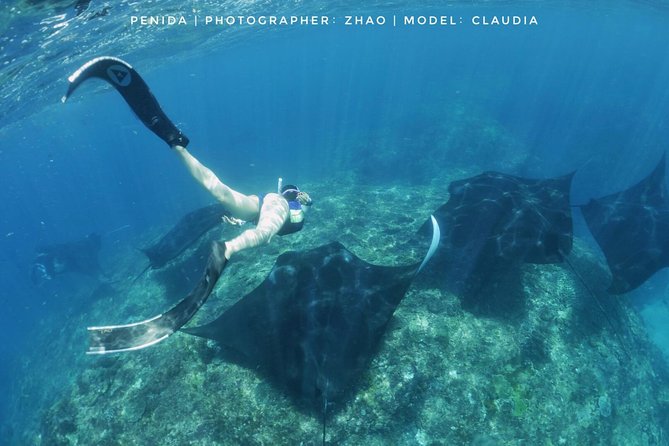 Snorkelling in Nusa Penida - Manta Point - Price and Value: What You’re Actually Paying For