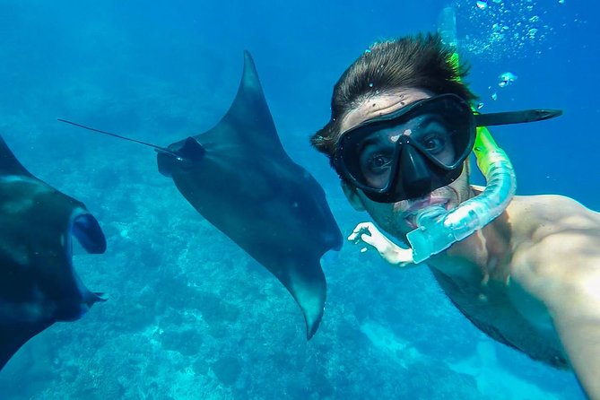 Snorkelling in Nusa Penida - Manta Point - The Sanur-to-Penida Plan: Pickup, Boat Time, and Realistic Travel