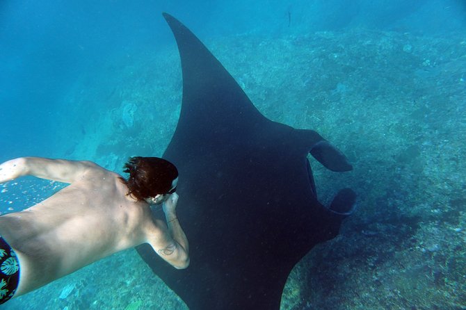 Snorkelling with Manta Rays at Nusa Penida and Lembongan - Stop 2 Choice: Crystal Bay for Sea Turtles or Lembongan for Corals