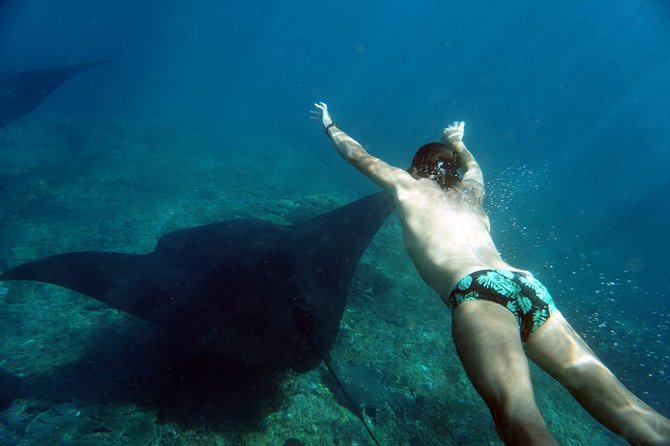 Snorkelling with Manta Rays at Nusa Penida and Lembongan - How to Have the Best Day Underwater (Without Overthinking It)