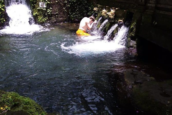 Soul Purification at Pura Mengening in Bali - Price and value: is $45 fair for what you get?