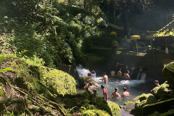 Spiritual Cleansing Ritual and Shamanic Healing in Bali - Spiritual Cleansing in Ubud: what the day is really about