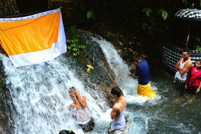 Spiritual Purification and Local Healer Visit Tour (ALL INCLUDED) - Meeting the local healer in Ubud: what happens and how to prepare