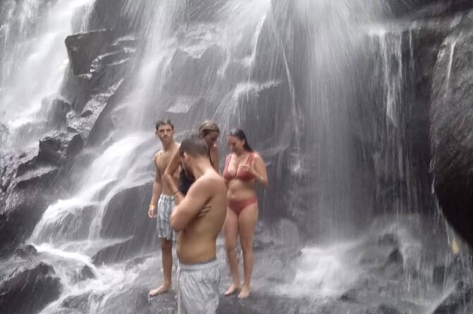 Sunset Sailboat Dinner Cruise & Private Ubud highlights Tour. - Ulu Petanu Waterfall: calmer jungle vibes