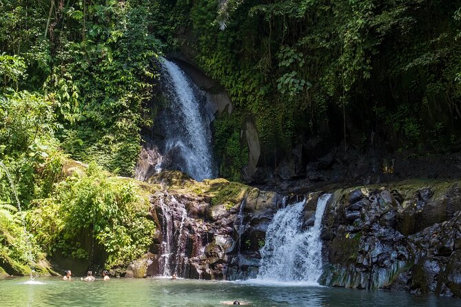 Swimming At Taman Sari Waterfall & Visit The Best Site Of Ubud - Taman Sari Waterfall Swim: The Main Event