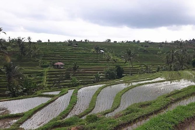 Tanah Lot and North Bali Private Tour - All inclusive - Ulun Danu Bratan Temple on Lake Bratan: Dewi Danu’s lakeside setting