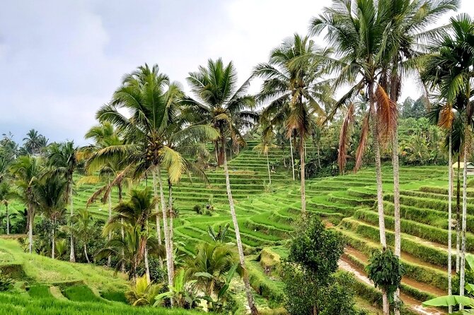 Tanah Lot and North Bali Private Tour - All inclusive - Timing: what 7:30am to 8–10 hours feels like