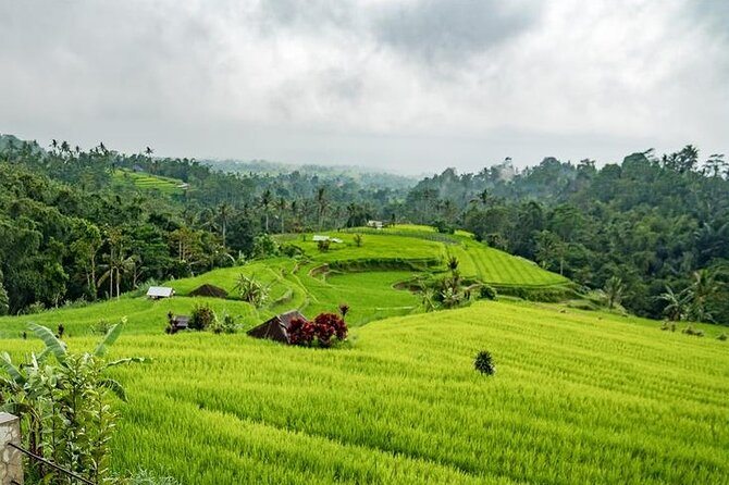 Tanah Lot and North Bali Tour: Scenic Journey - Jatiluwih Rice Terraces: Lunch With UNESCO Views
