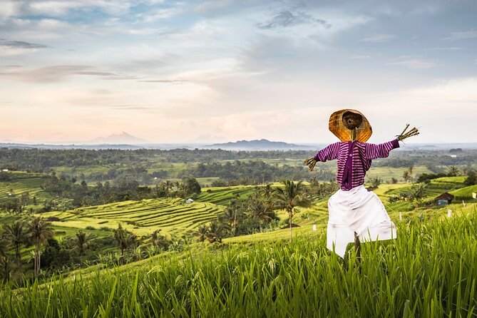 Tanah Lot, Jatiluwih Rice Terrace and Waterfall Day Tour - Stop 2: Jatiluwih Rice Terrace UNESCO Views You Can Walk Into