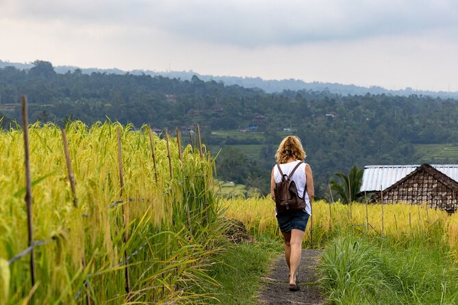 Tanah Lot, Jatiluwih Rice Terrace and Waterfall Day Tour - Guides Matter: When Your Driver Also Becomes Your Photo Coach