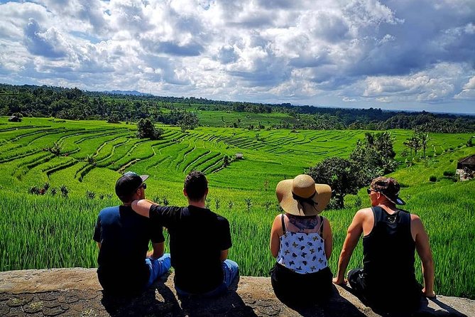 Tanah Lot - Jatiluwih (UNESCO) - Bedugul and Ulun Danu Temple Tour - Price and tickets: what $38 really buys (and what you’ll pay on top)