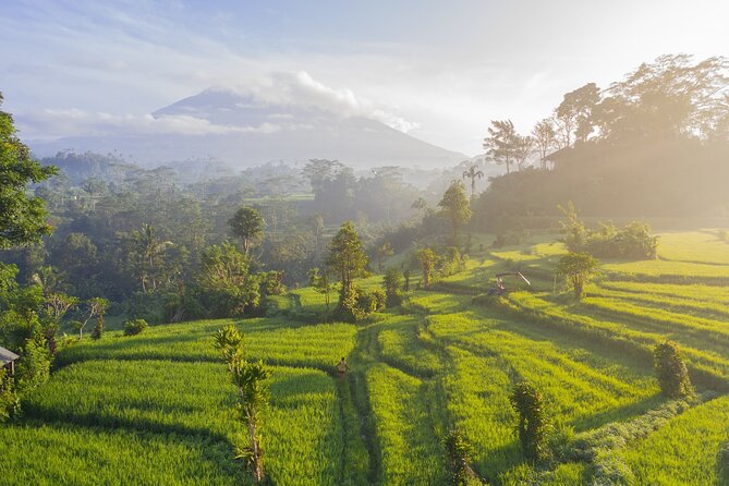 Tanah Lot - Jatiluwih (UNESCO) - Beratan lake -Hidden hill (Wanagiri)-FREE WI-FI - Wanagiri Hidden Hills: Swings and Bird-Nest Photo Stops