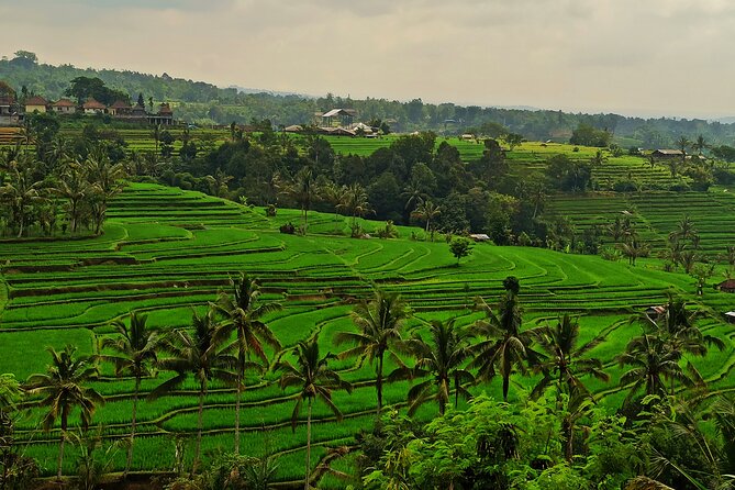 Tanah Lot Tour: Discover Bali’s Iconic Temple and Stunning Views - Waterfalls and hills: Yeh Ho (plus room for other natural stops)
