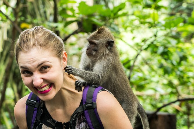 Tanah Lot Tour with Ubud Monkey Forest, Rice Terraces, and Waterfalls - Why this route works: Tanah Lot, Ubud, and Tegenungan in one day