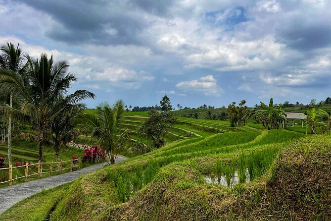 Tanah Lot - Ulun Danu Beratan Temple - Scenic Countryside Tour - How the Ubud countryside day runs (private group, long enough to matter)