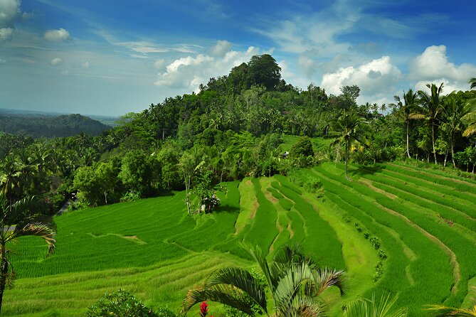 Telaga Waja White Water Rafting and Besakih Temple Tour - Bukit Jambul Rice Terrace: Eastern Bali Views with a Restaurant Backup