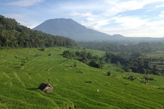 Tenganan Village Rice Field Trekking Tour - A Smart Day Trip Setup from South Bali or Candidasa