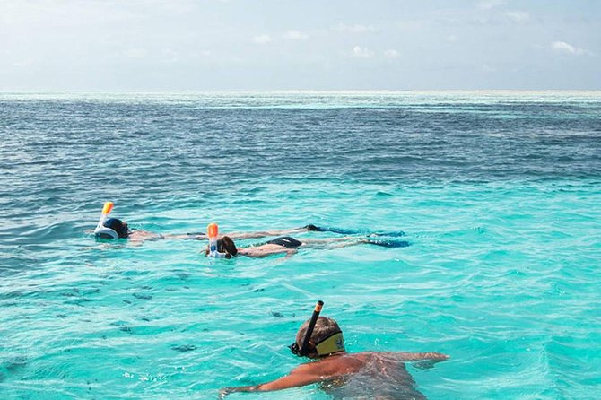 The Best 2-point Snorkeling in Padangbai: Blue lagoon and Tanjung jepun - Key Points You’ll Care About Before You Go