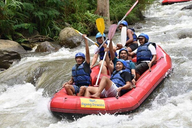 The Best Ayung River Rafting Adventure in Ubud - The Rafting Run: Waterfalls, Jungle Passes, and Grade II–III Rapids