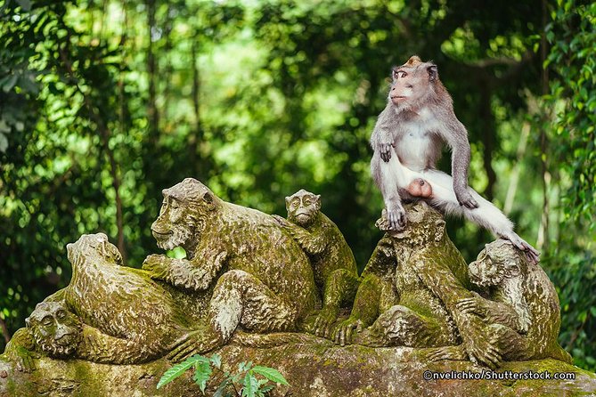 The Best of Ubud Tour and Jungle Swing - A private Ubud day that actually feels doable