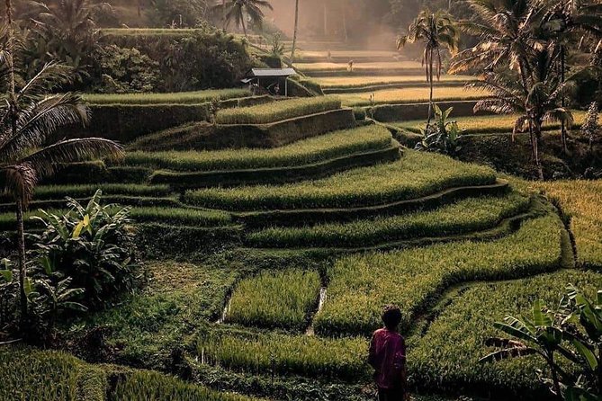 The Gates of Heavan - Ubud Jungle Swing & Waterfall Tour - Pickup, Timing, and Why the Day Feels Smooth