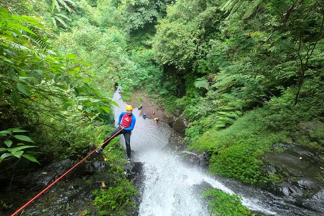 The Natural Canyoning in Alam Canyon - Upper Alam Canyon: sunny rappels up to 28m