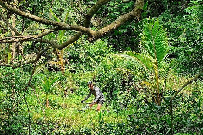 The Volcano Trail – Epic Volcano Cycling Adventure - Where this fits best (and who should pick a different Bali bike day)
