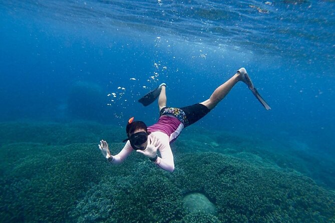 Three Islands Snorkeling (3 Spots) Manta Rays - From Lembongan - Stop 1: Manta Bay (Manta Point) and the manta-ray payoff