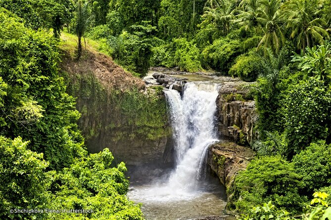 Three Main spot Bali Waterfall with Swing - Best fit: who this tour suits best