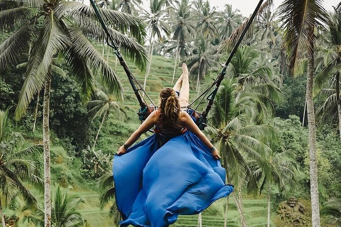 Tirta Empul temple, Jungle Swing and Waterfalls - Private Tour - Why This Ubud Route Works Better Than a Random Day Out