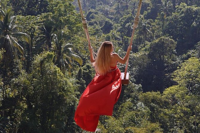 Tirta Empul temple, Jungle Swing and Waterfalls - Private Tour - Tegalalang Rice Terrace: The View-First Start