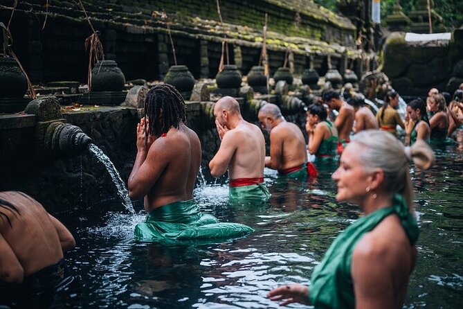 Top Ubud Attractions: Private Full-Day Guided Tour - Key Points You’ll Care About