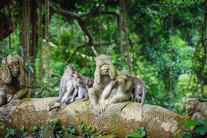 Top Ubud Attractions: Private Full-Day Guided Tour - Tirta Empul Temple: Purification Rituals and Clear Etiquette