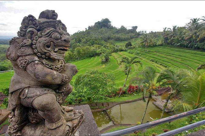 Tour: Besakih Temple-Kintamani Volcano-Water temple&Rice Terrace - Bukit Jambul and the Edelweis Garden windmill: two quick wins for photos