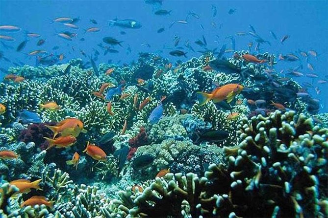 Tour Gate of Heaven at Lempuyang Temple - Blue Lagoon Snorkeling with lunch - Private AC transport and English-speaking driver: the difference between chaos and calm