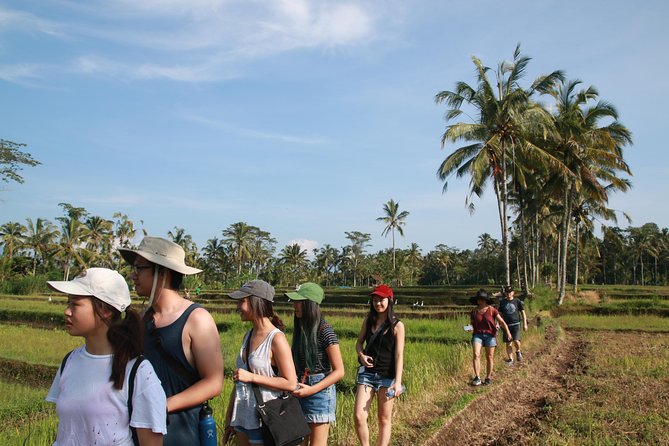 Trekking and Sightseeing tour with lunch - What $78 buys you in Ubud (and where extra tickets may pop up)