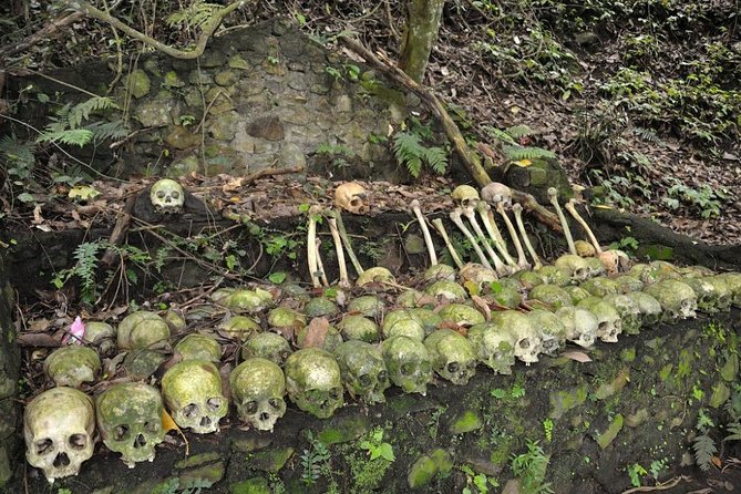Trunyan Cemetery, Hot Spring, Penglipuran Village, and Waterfall Tour - Price and Logistics: What You’re Paying For