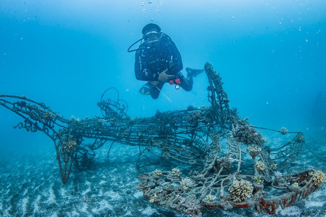 Try Dive Program in the Biorock Pemuteran - First steps at Karang Divers Bali: check-in and your gear setup