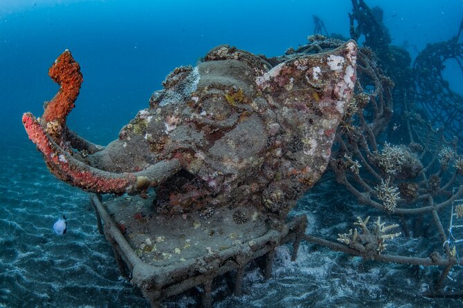 Try Dive Program in the Biorock Pemuteran - Debrief, shower, and changing out of wet gear