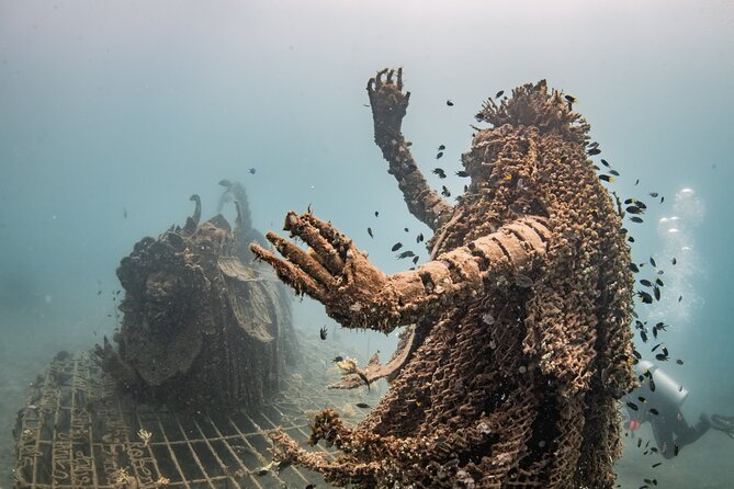 Try Dive Program in the Biorock Pemuteran - Value check: what about $51.67 gets you in real life