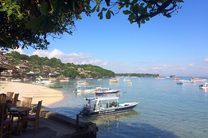 Try Diving in Nusa Lembongan - Penida. For beginners (with 2 ocean dives) - What you’ll see underwater: mantas, mola molas, and the local site mix